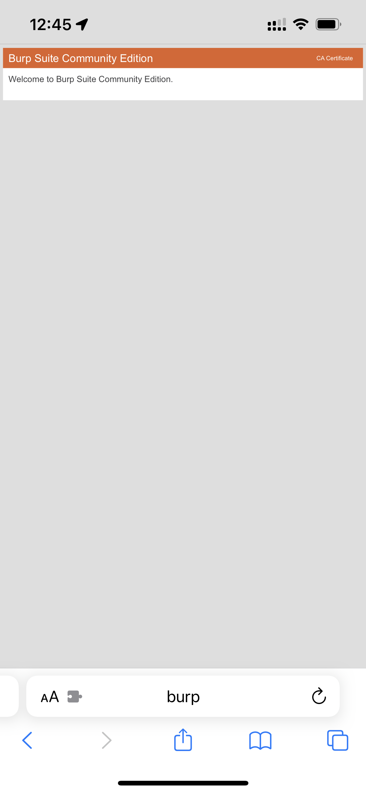 screenshot of http://burp page