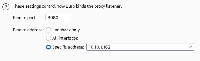 burpsuite proxy options